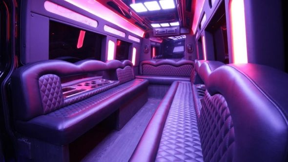 gallatin sprinter limo rental rental